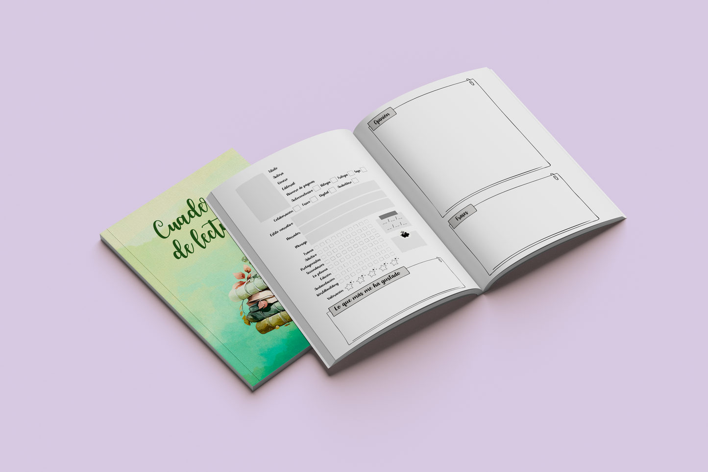 Caja literaria navideña